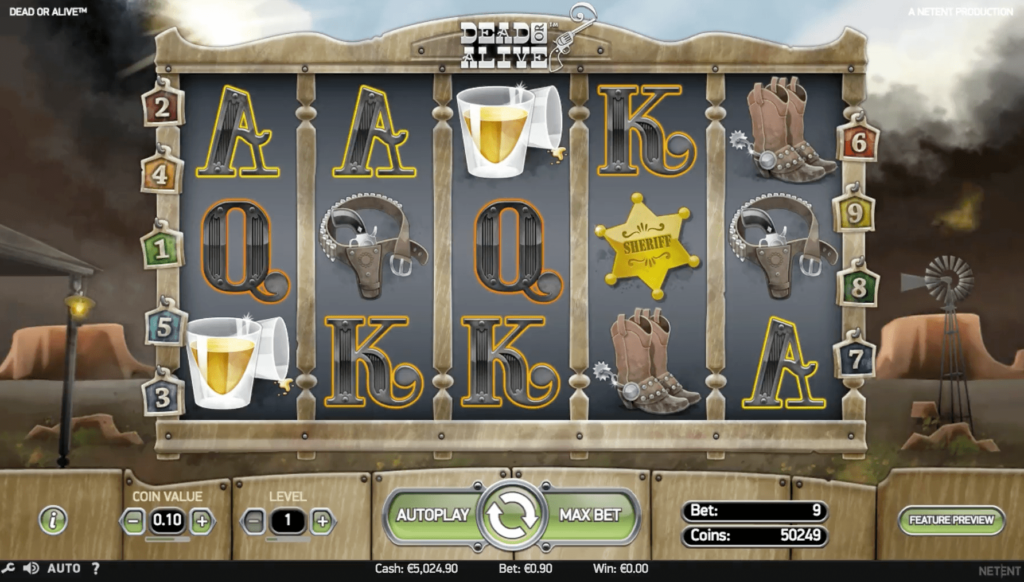 Dead or Alive Slot Game Screen Graphics 